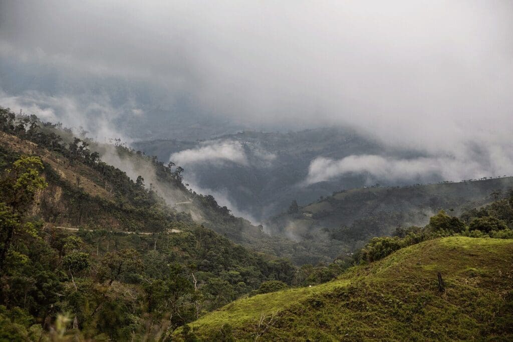 Flot grønt landskab i Peru