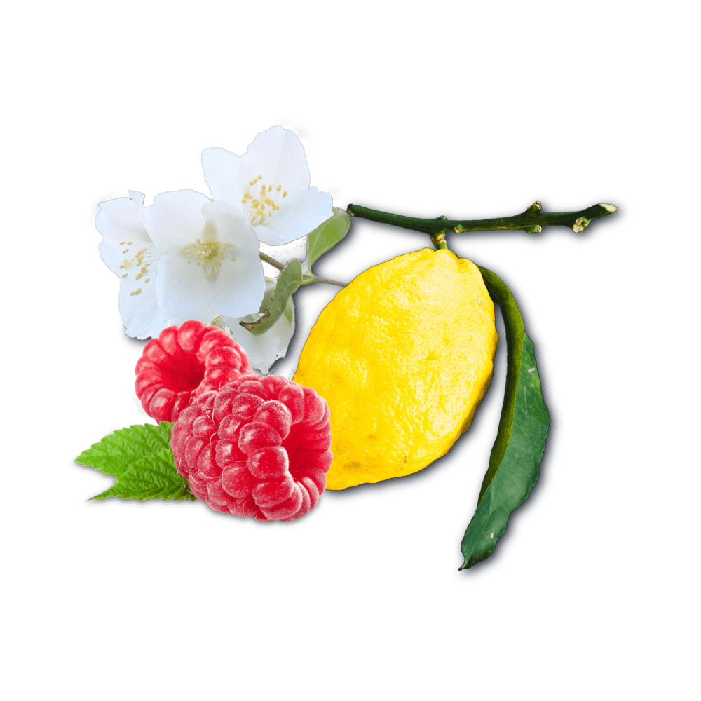 Blomst, hindbær og citron